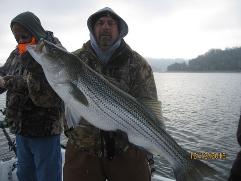 Nice Striped Bass